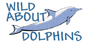 WILD about DOLPHINS