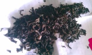 2011 Spring Da Hung Pao from Loose Tea USA
