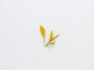 Huang Mudan from Song Tea & Ceramics