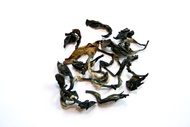 Formosa Fancy Oolong Top Grade from Queen Cha. Oolong Tee