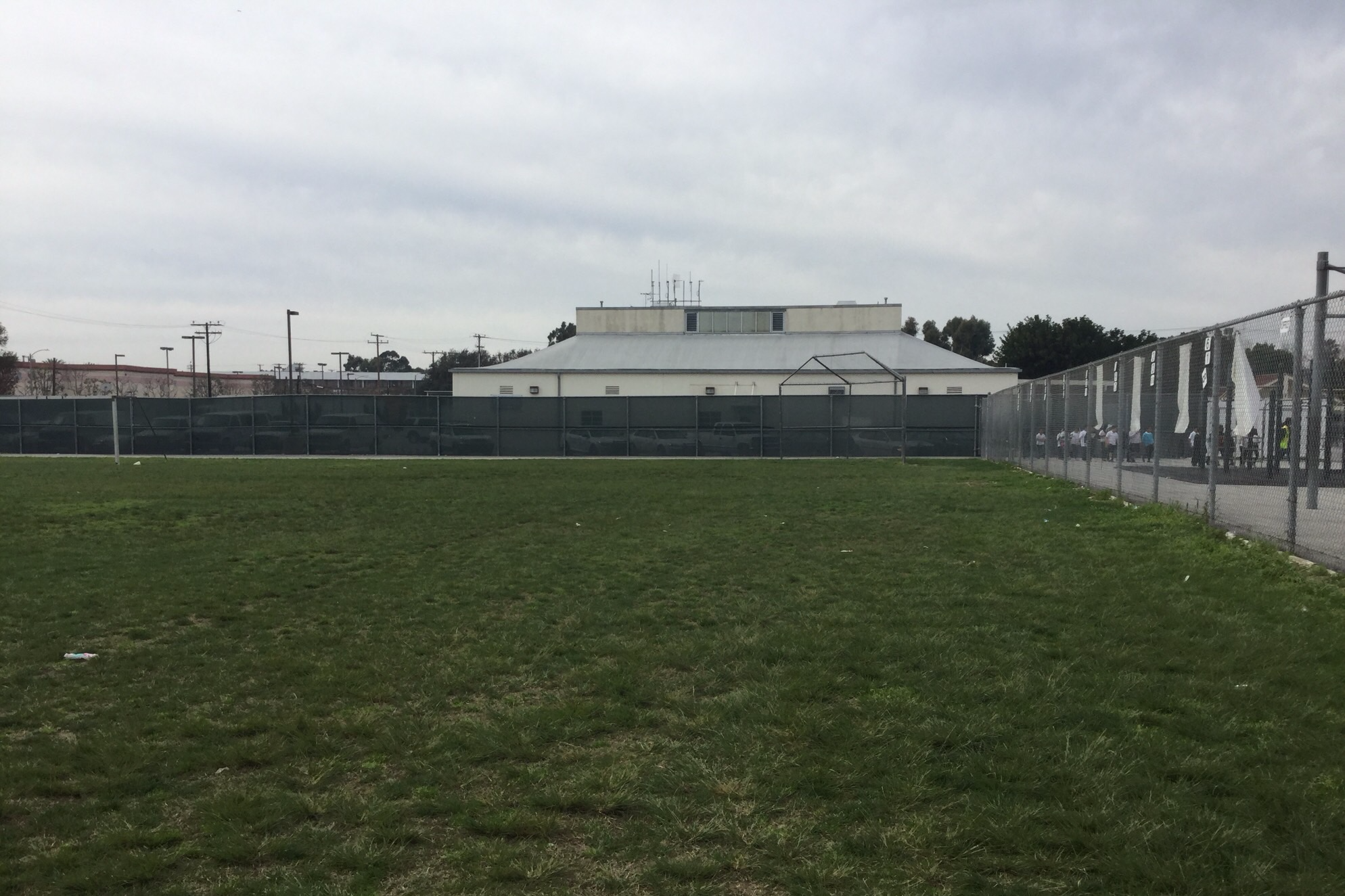 Field