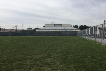 Field