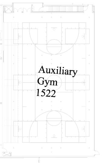 Auxiliary Gym