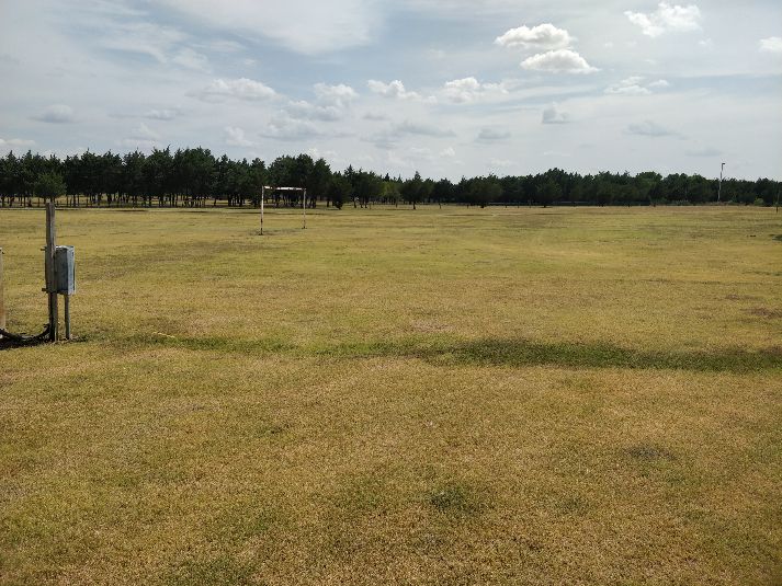 Field