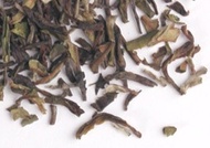 Nepal SFTGFOP1 Sunderpani  First Flush from TeaGschwendner