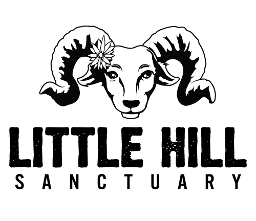 Little Hill Sanctuary logo
