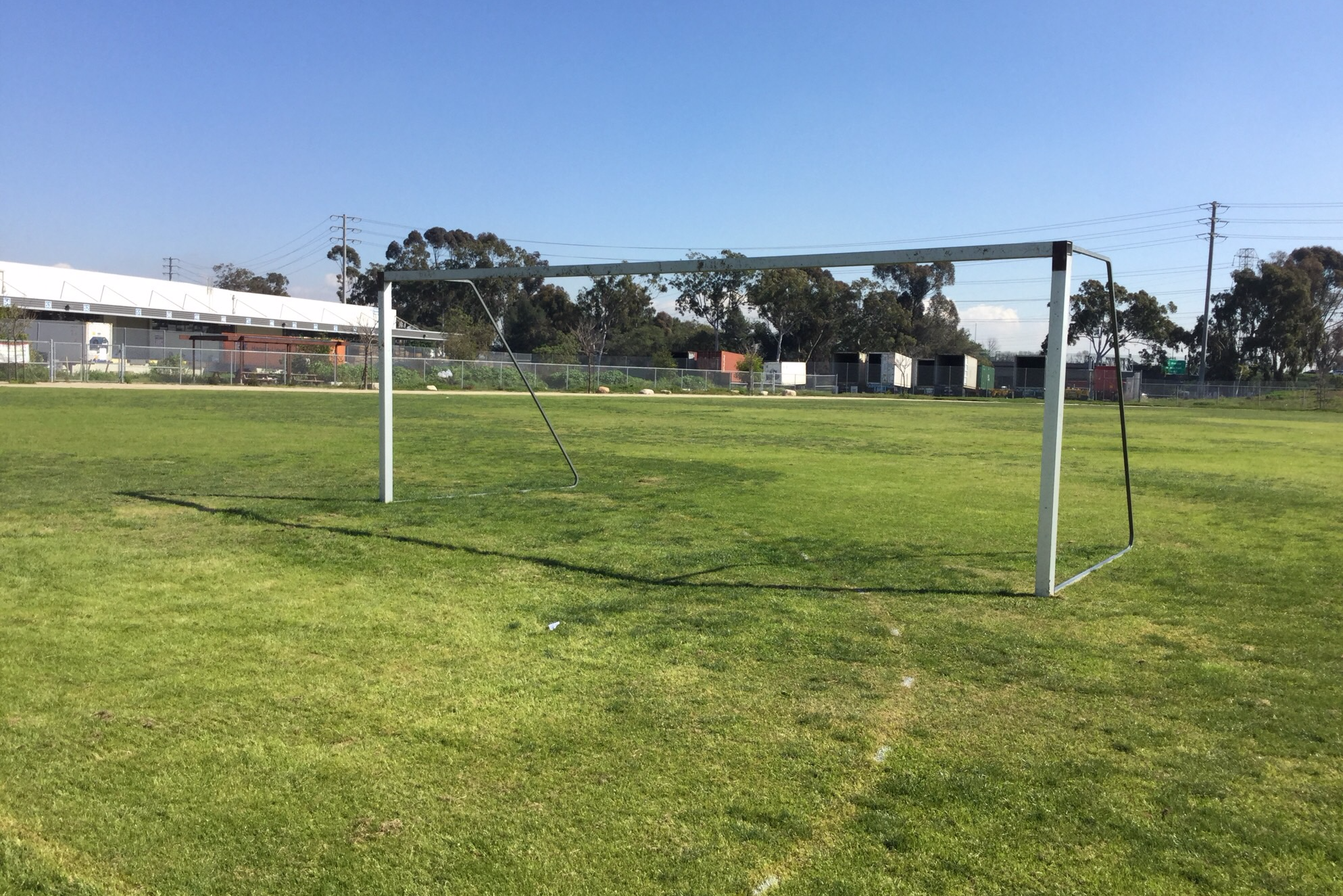 Field