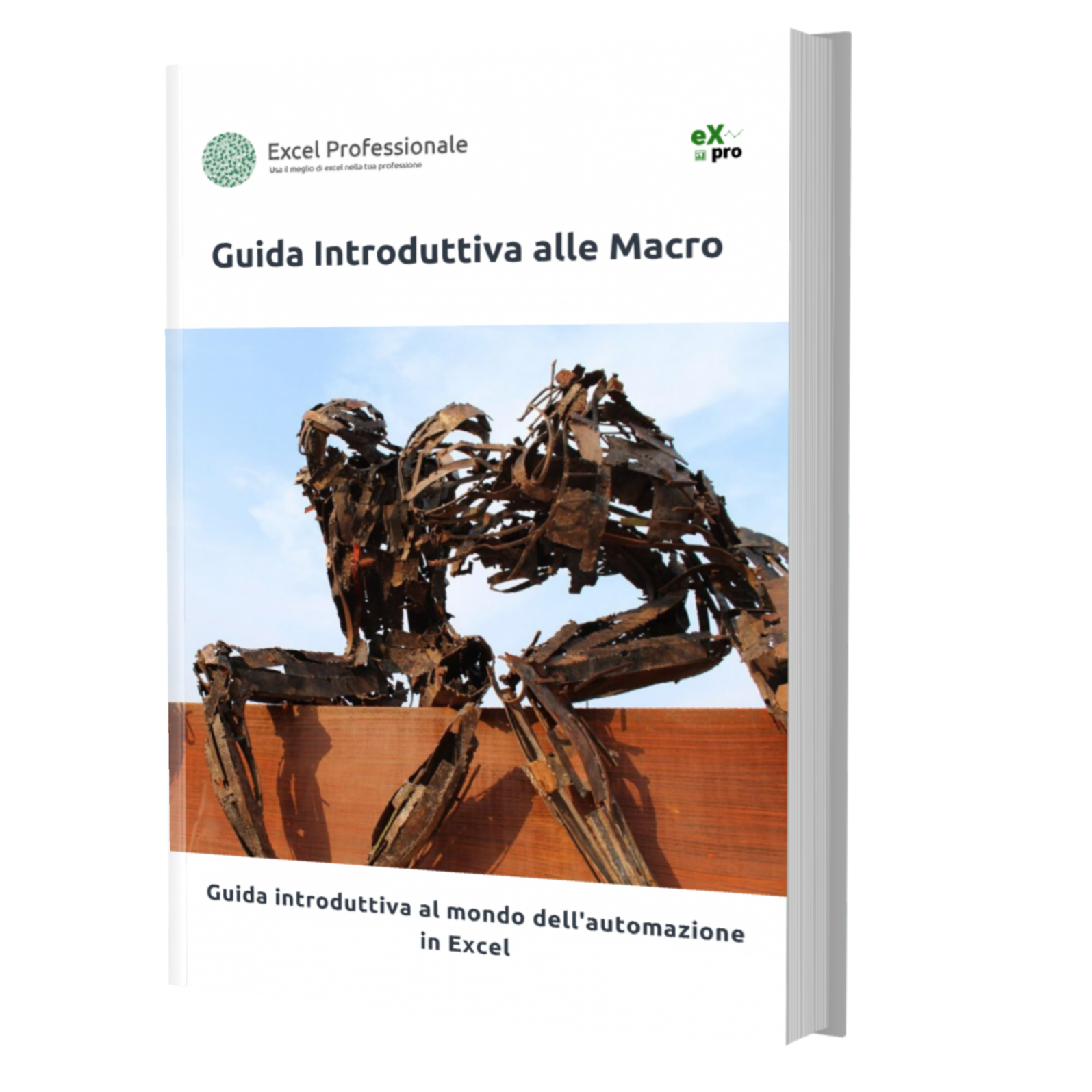 Guida introduttiva alle macro