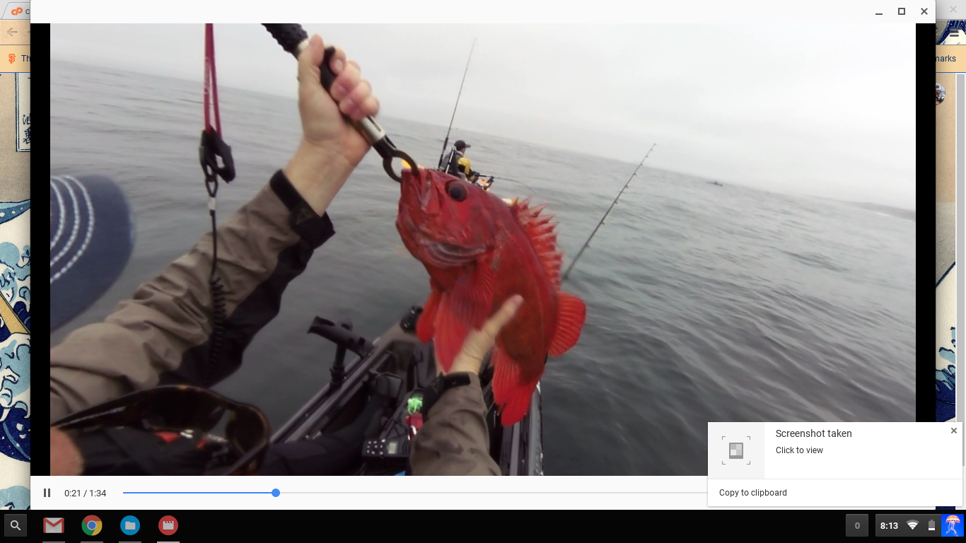 Thumbnail 7