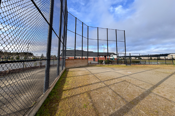 Baseball Field Grass