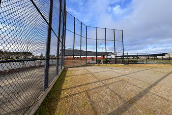Baseball Field Grass