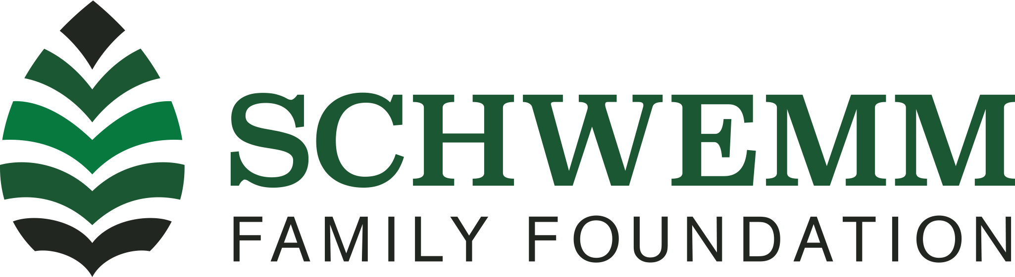 Schwemm Family Foundation logo