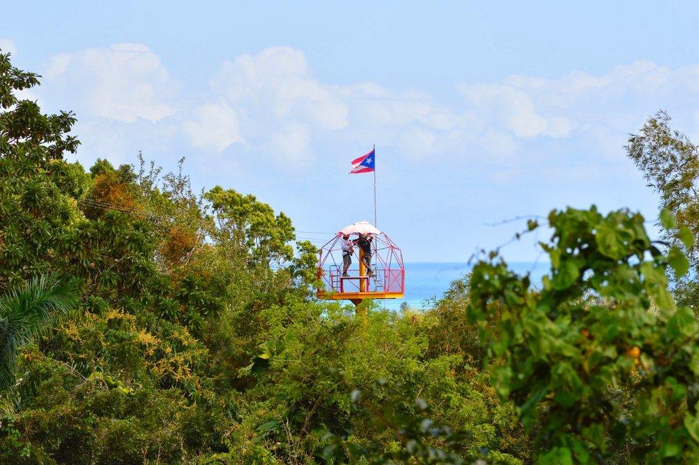 Zipline Canopy Adventure Tour tour photo 6