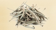 Organic Kenya Silver Needle White Tea from Arbor Teas