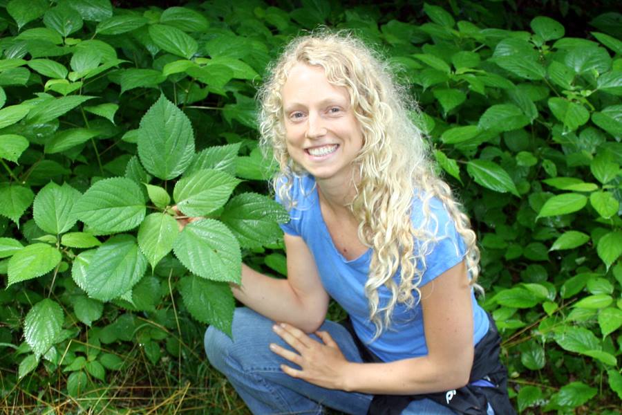 Herbal Apprentice with Nettles