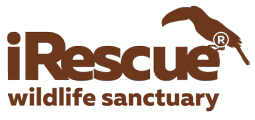 iRescue Wildlife Inc logo
