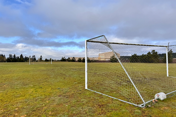 Athletic Field Grass