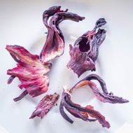 Rare Hibiscus Flowers from Rare Tea Company