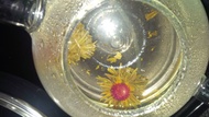 Tiffany Rose Flowering Tea from Cuppa'T Specialty Teas