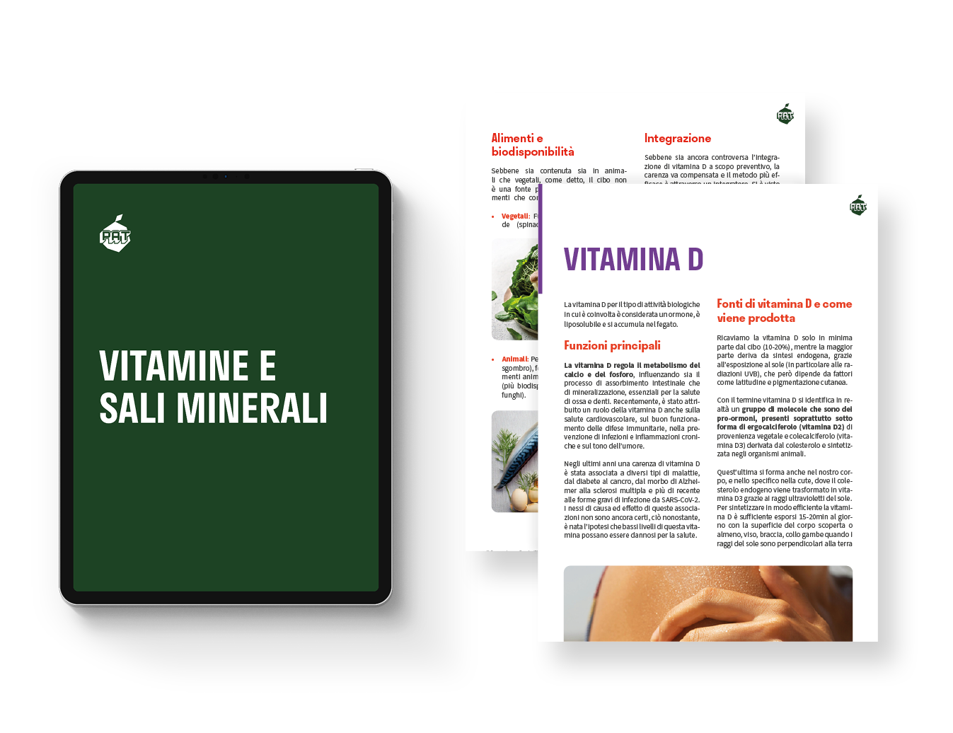 Contenuti del corso