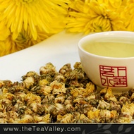 Tai Ju Wang Chrysanthemum from Tea Valley