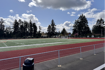 Football/Soccer Field Turf