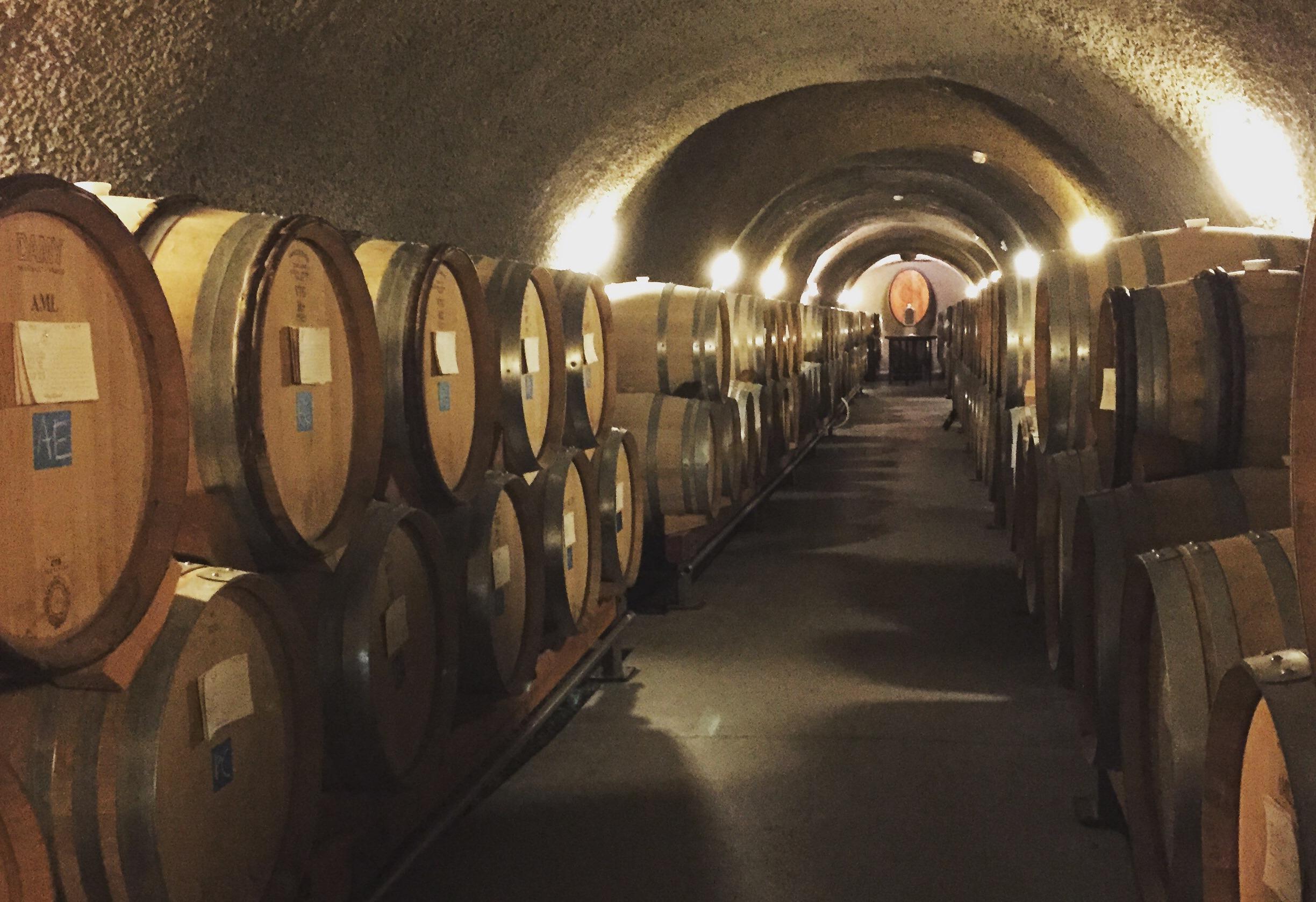Full Day Willamette Valley Wine Tasting Tour photo 2