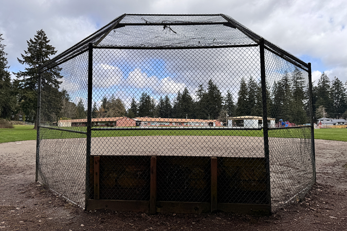 Baseball Field Grass