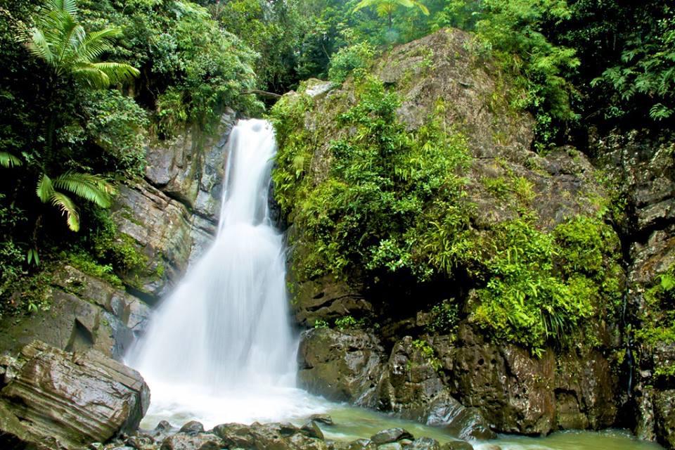 El Yunque & BioBay Combo Tour tour photo 8
