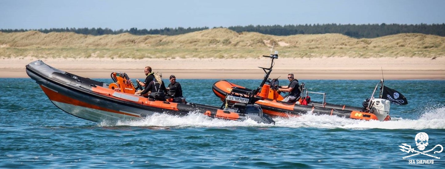 Donate to Sea Shepherd UK | Sea Shepherd UK (Powered by Donorbox)