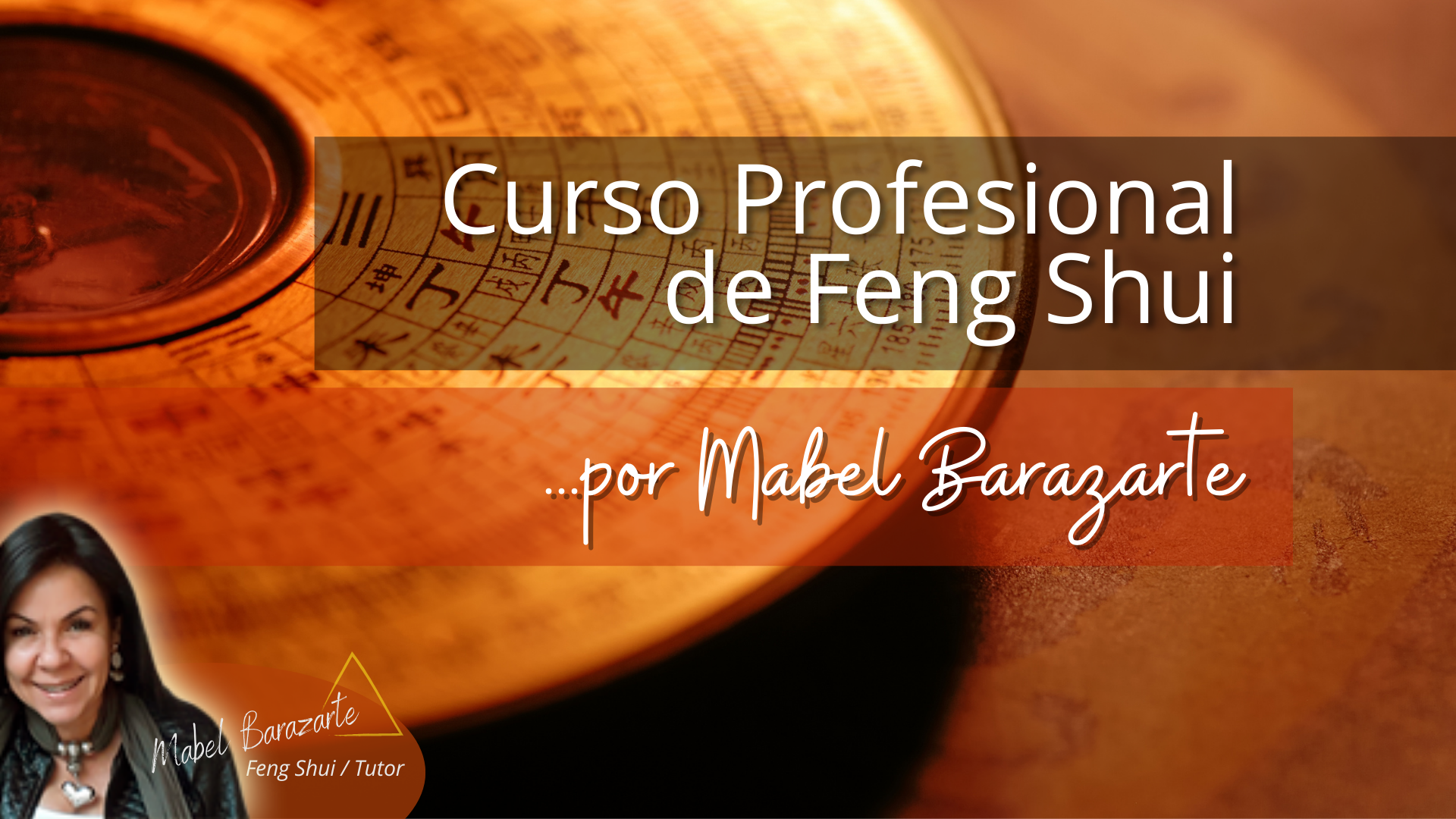 Product image for Feng Shui / Curso Profesional