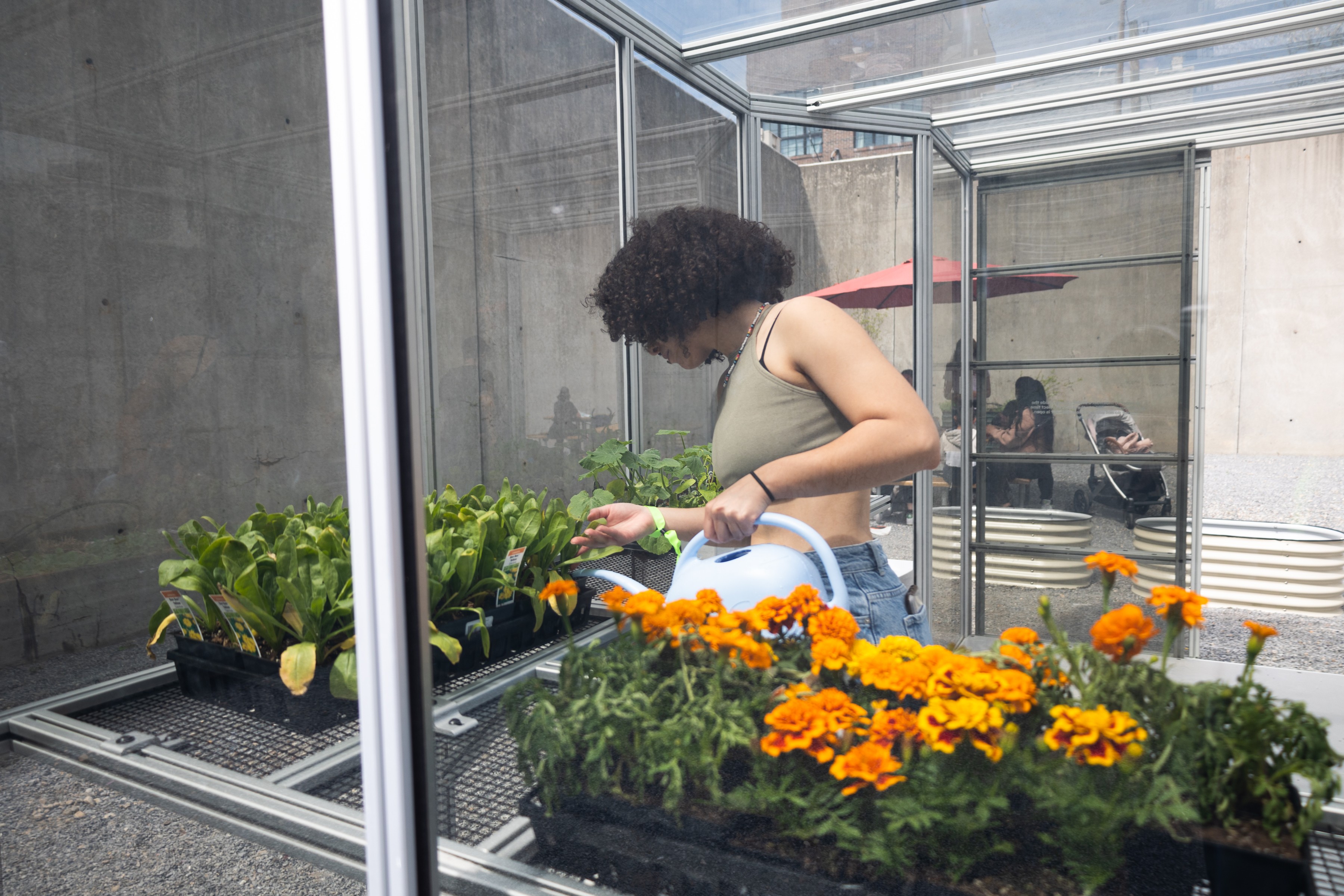 Growing Abolition - MoMA PS1
