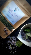 Lights Out Lavender from Blue Heart Gardens