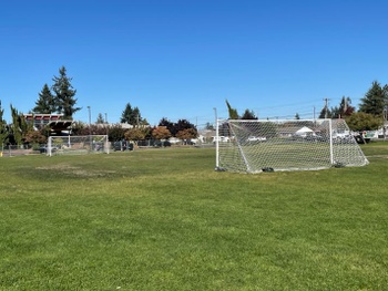 Athletic Field Grass