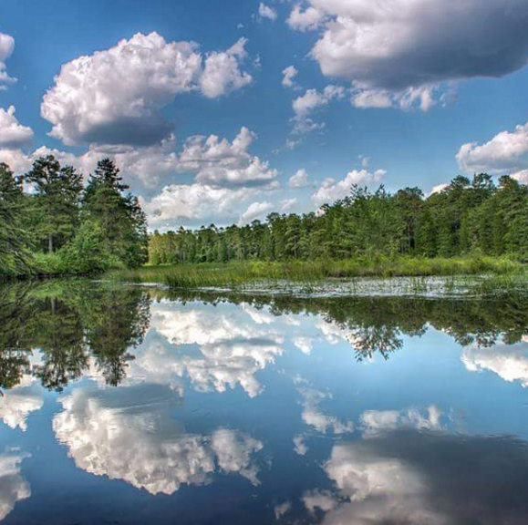 Wildlife & Nature Tour at Pinelands Adventures - Deptford