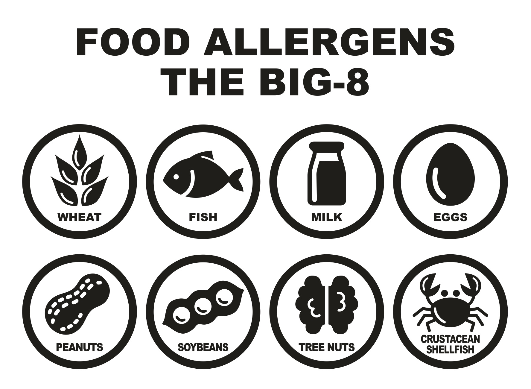 understanding-food-allergies-village-table