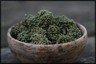 Ginseng Flower from Whispering Pines Tea Company