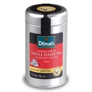 Somerset Estate from Dilmah