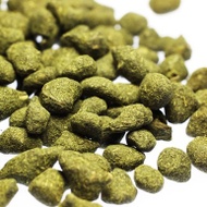 Taiwan Ginseng Oolong from Tao Tea Leaf
