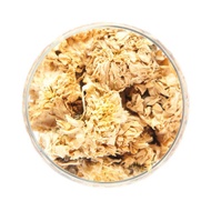 Chrysanthemum Blossoms from American Tea Room