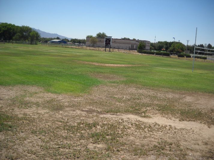 Playfield