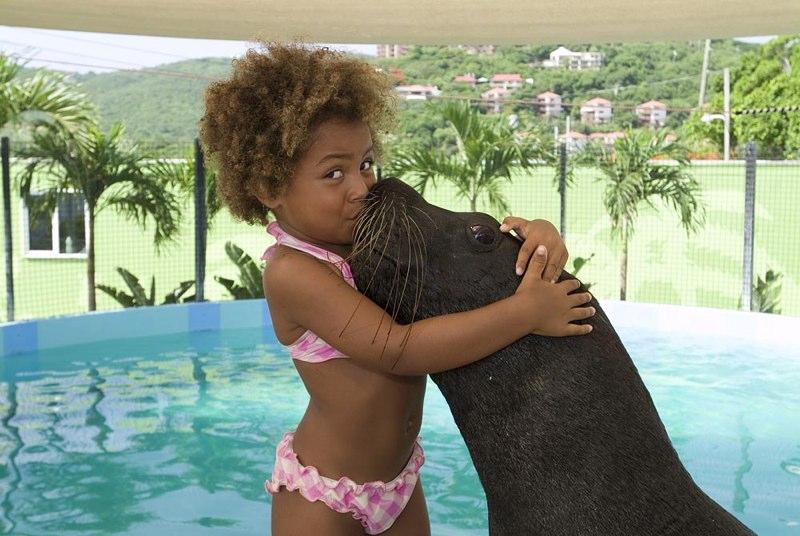 Sea Lion Encounter at Coral World, St. Thomas VI - Charlotte Amalie