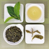 Organic Jade Oolong Tea, Lot 667 from Taiwan Tea Crafts