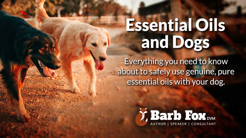 Are Essential Oils Safe To Use Around Dogs