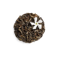 Jasmine Yin Hao from Tazo
