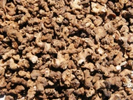 Red Ginseng Head from Unknown