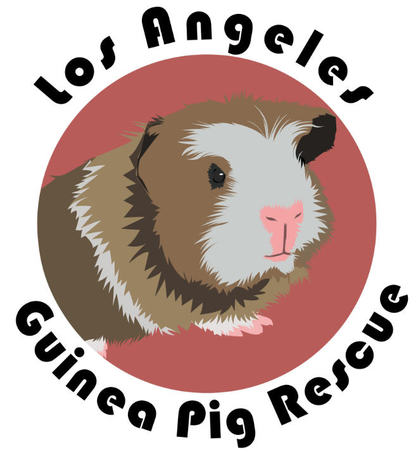 Los Angeles Guinea Pig Rescue logo