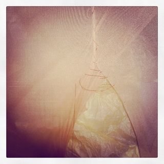 image: 