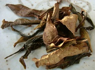 2010 Winter FengHuang WuDong Old Bush DanCong "Huang Jing" from hou de asia