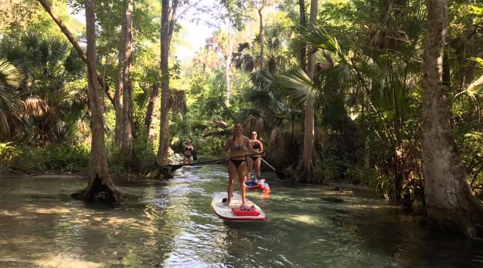 Paddle Board Trip at Kings Landing and Rock Springs in Orlando Book